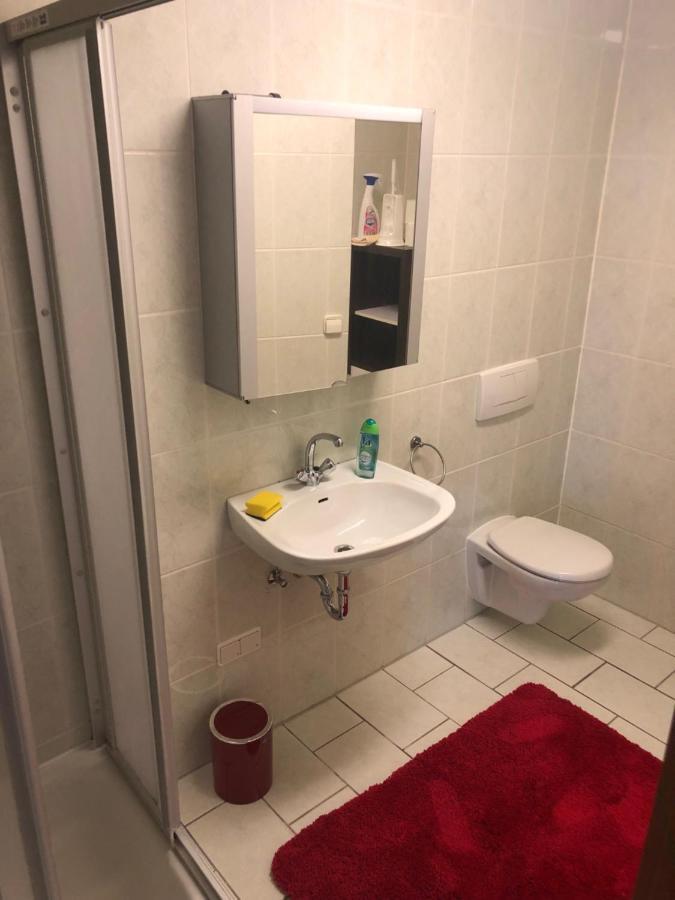 1-Zimmer Apartment, 45 Qm, Im Weinort Neustadt-Duttweiler Нойштадт-ан-дер-Вайнштрасе Екстер'єр фото