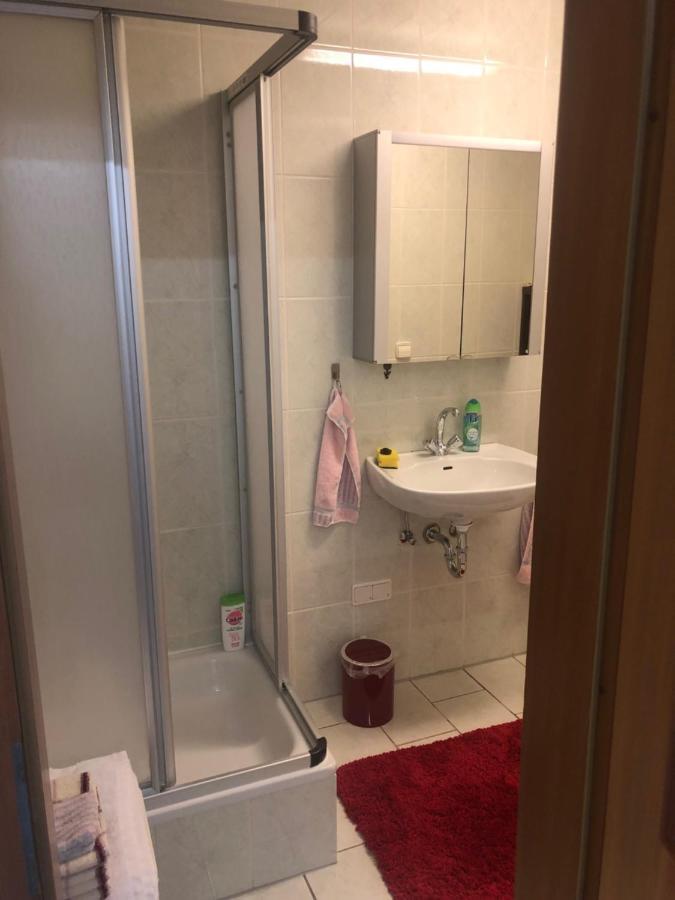 1-Zimmer Apartment, 45 Qm, Im Weinort Neustadt-Duttweiler Нойштадт-ан-дер-Вайнштрасе Екстер'єр фото
