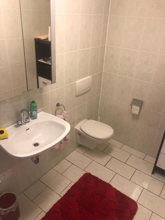 1-Zimmer Apartment, 45 Qm, Im Weinort Neustadt-Duttweiler Нойштадт-ан-дер-Вайнштрасе Екстер'єр фото
